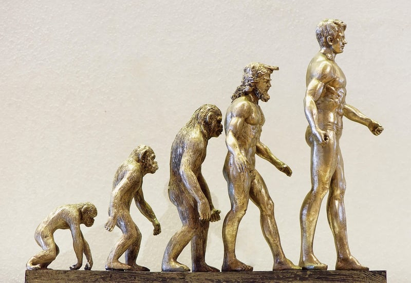 Technological Evolution